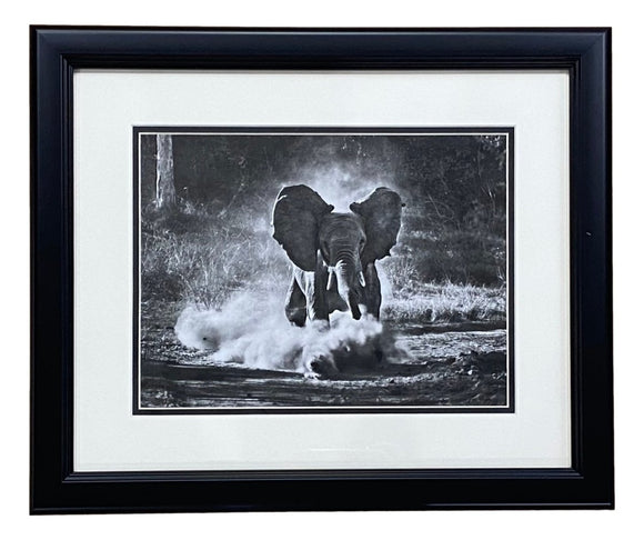 Running Elephant Framed 11x14 Art Poster Photo - Sports Integrity